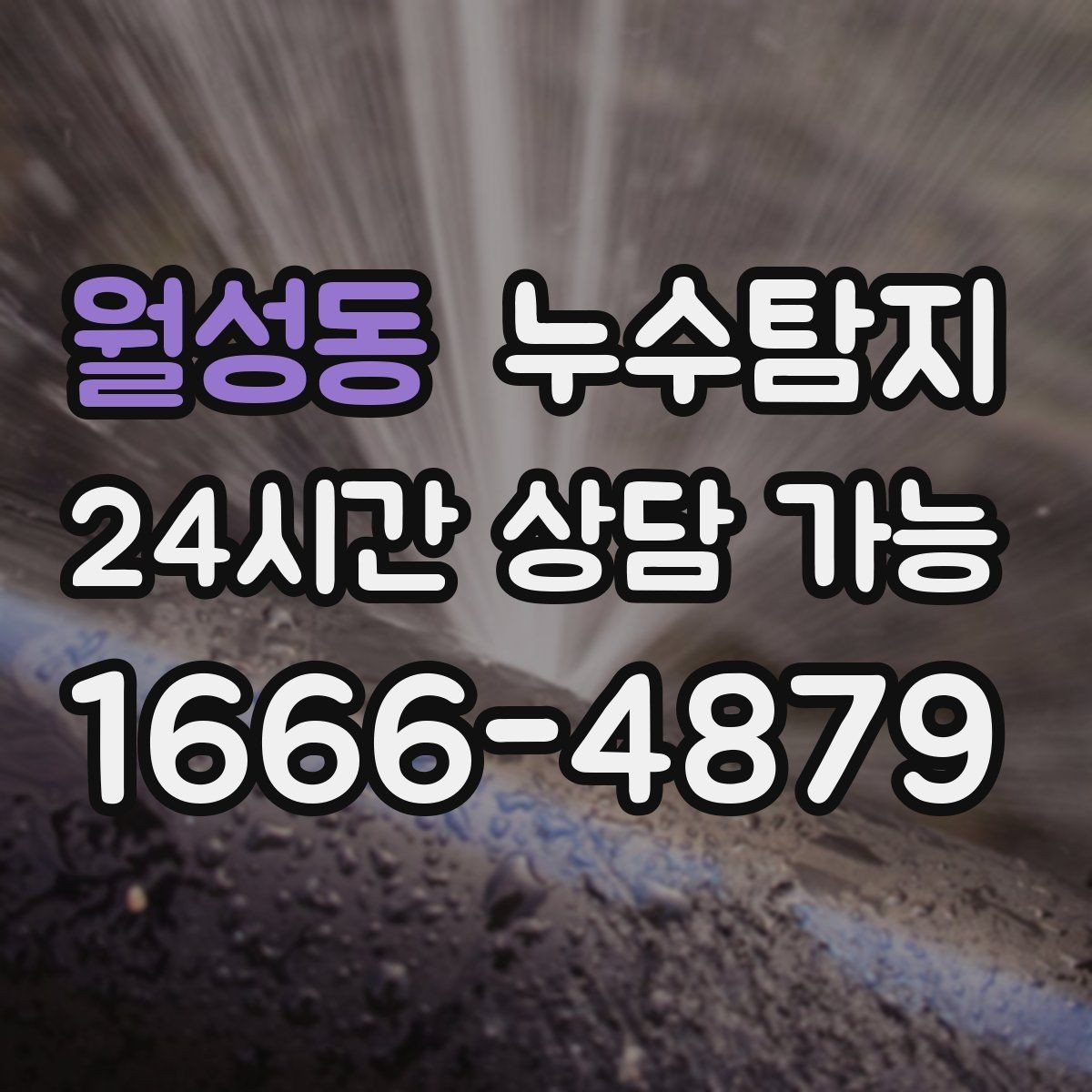 월성동 누수탐지 우리 가족을 지킨 빠른 판단