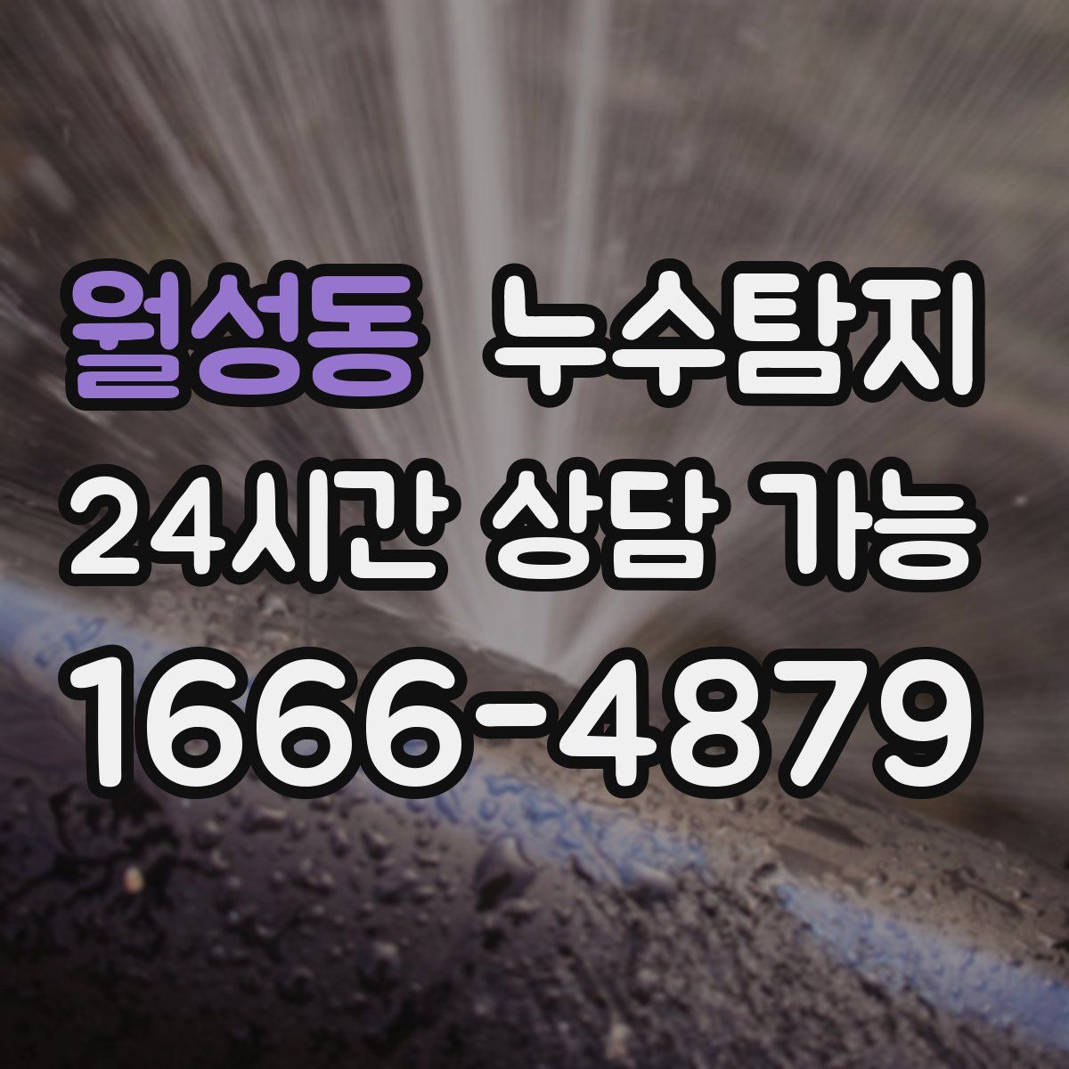 월성동 누수탐지