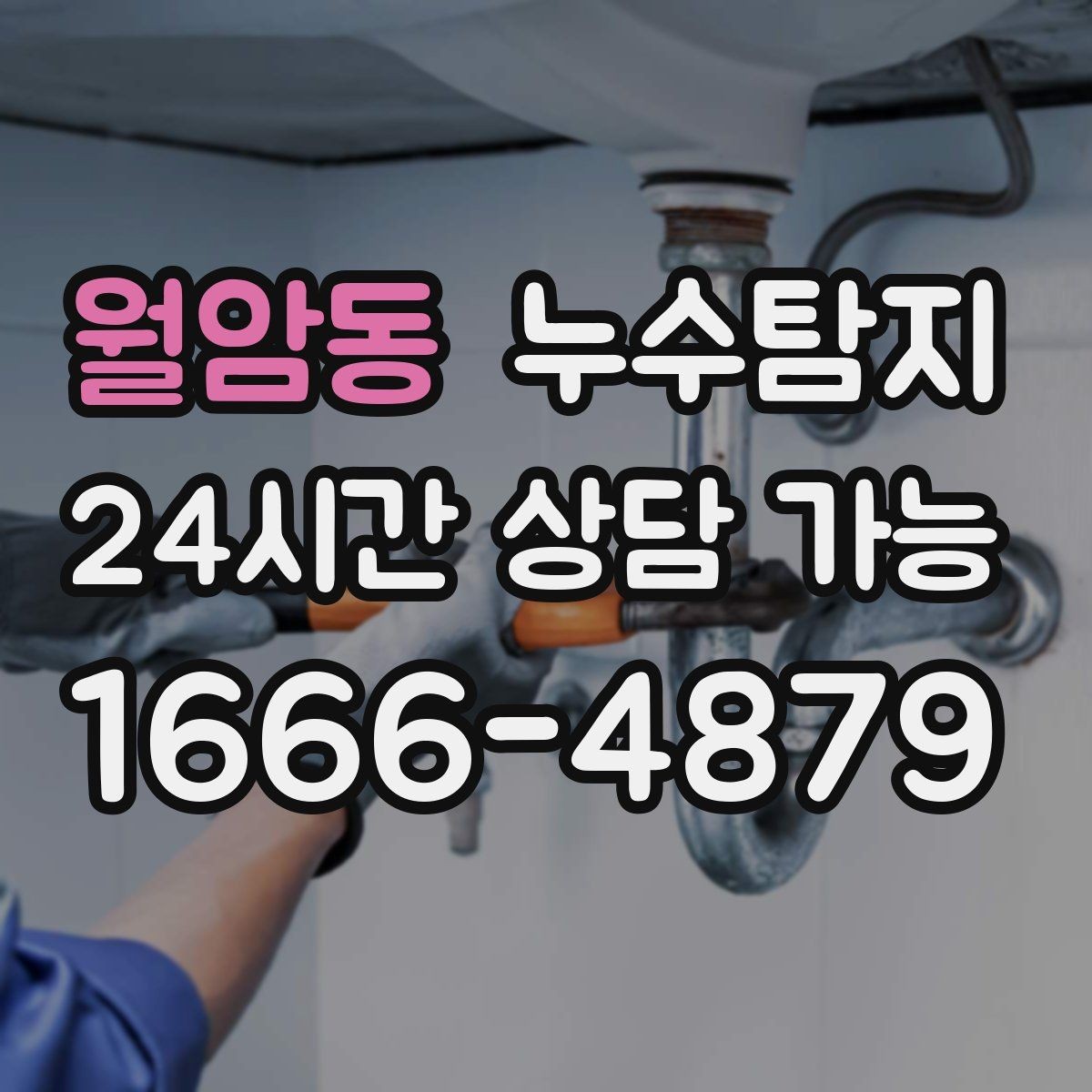 월암동 누수탐지 타일 틈새 점검으로 찾은 누수