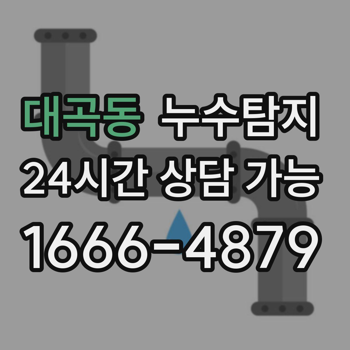 대곡동 누수탐지