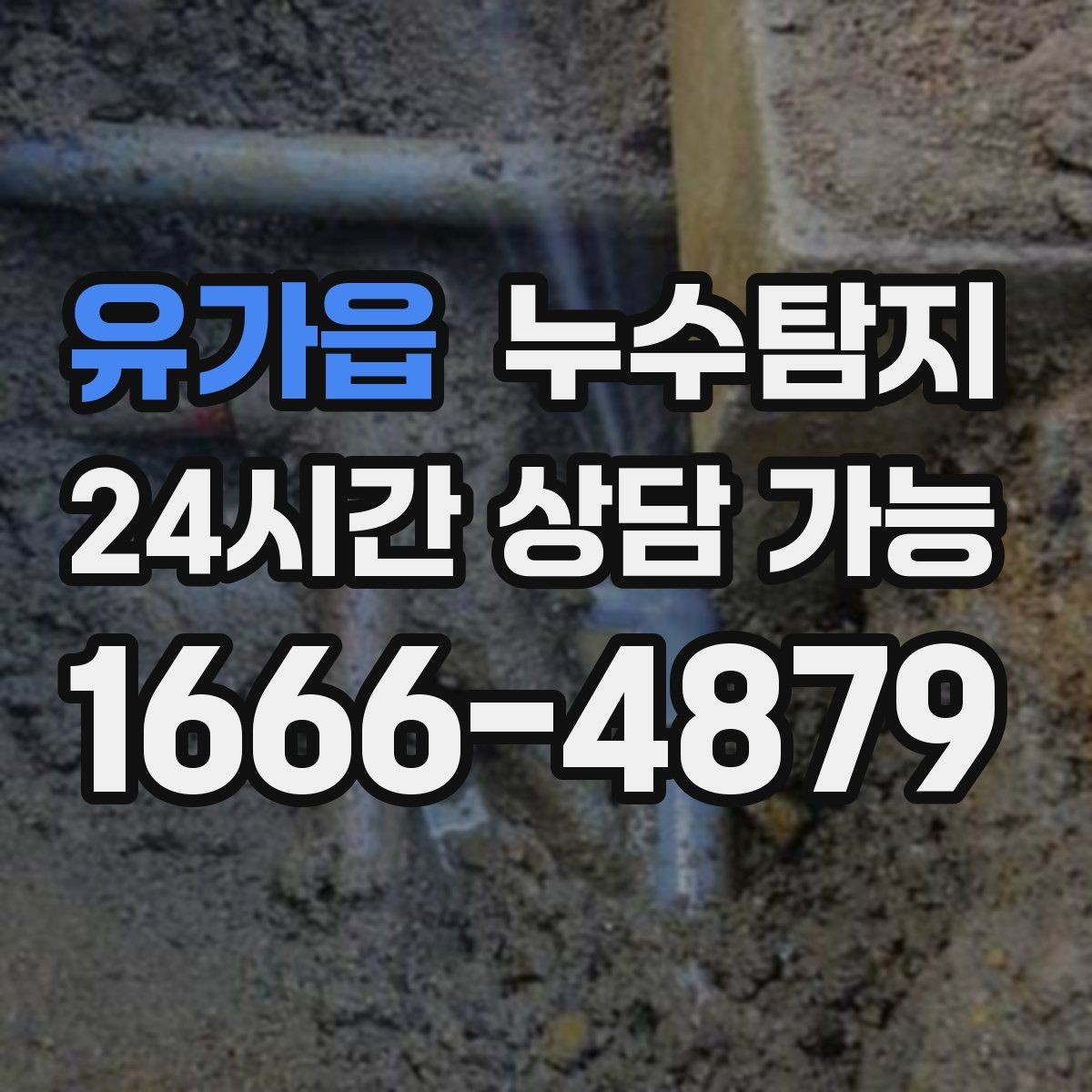 유가읍 누수탐지 공용배관 의심 구간 찾은 날