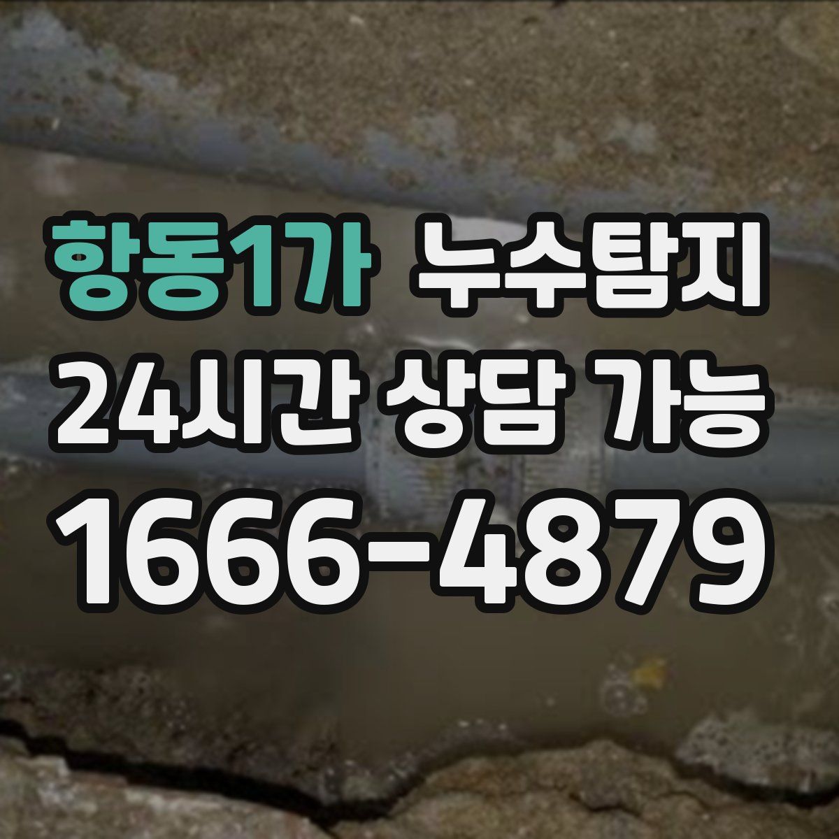 항동1가 누수탐지