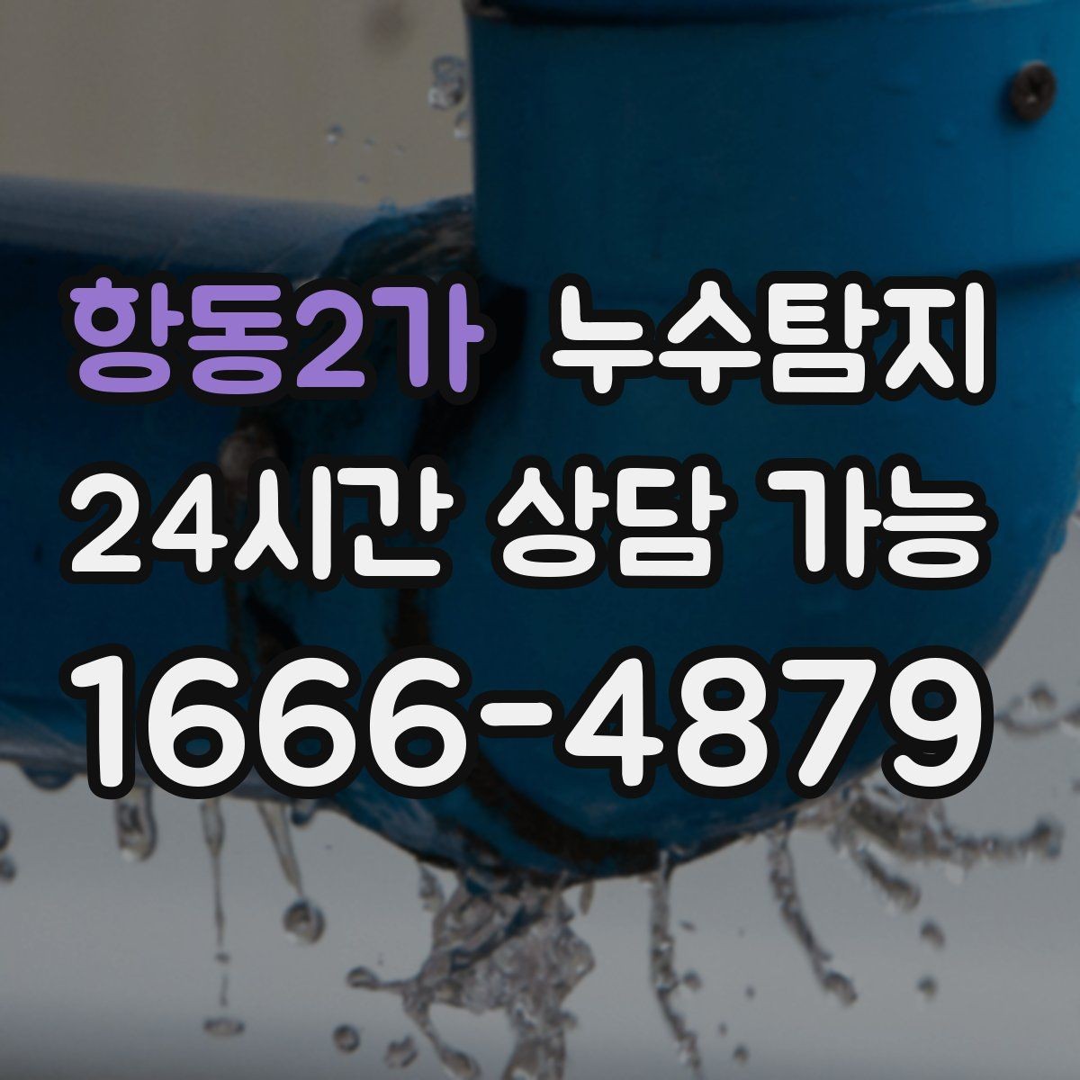 항동2가 누수탐지 처음 상담부터 복구까지 전 과정 리뷰