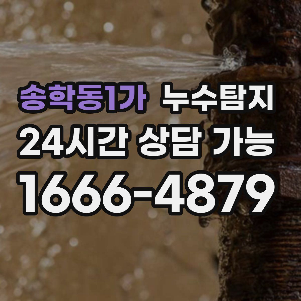 송학동1가 누수탐지