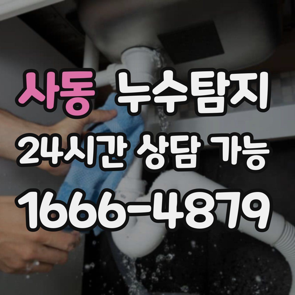 사동 누수탐지 전문 진단 서비스