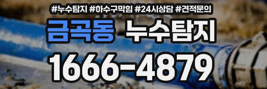 누수탐지