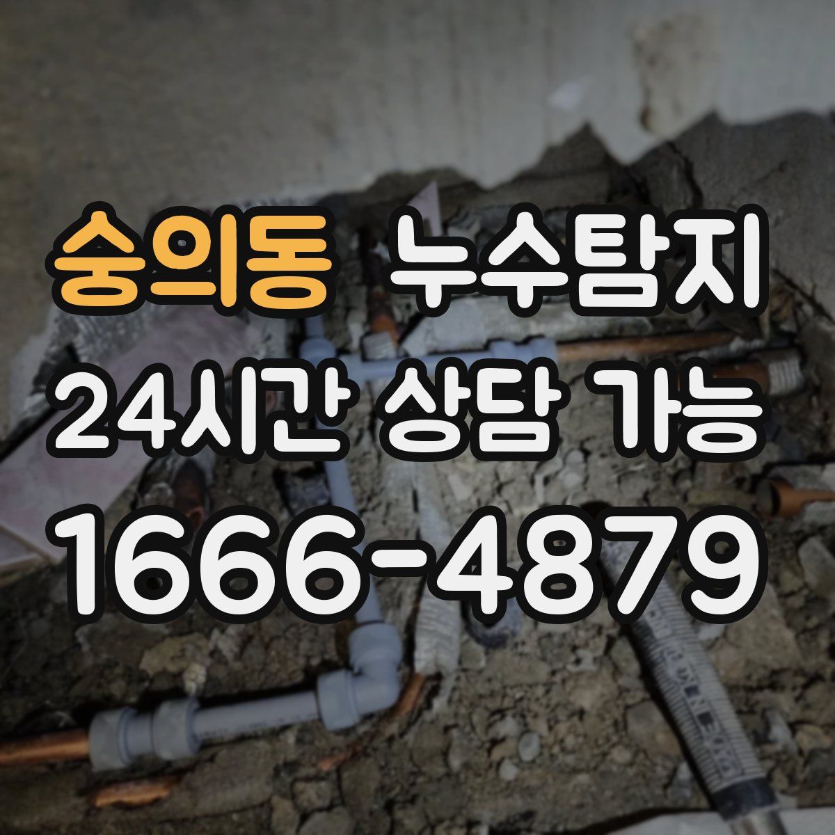 숭의동 누수탐지