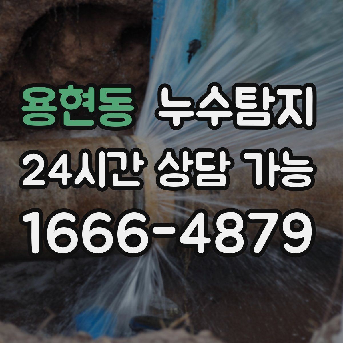 용현동 누수탐지 촬영 데이터로 확인한 변화
