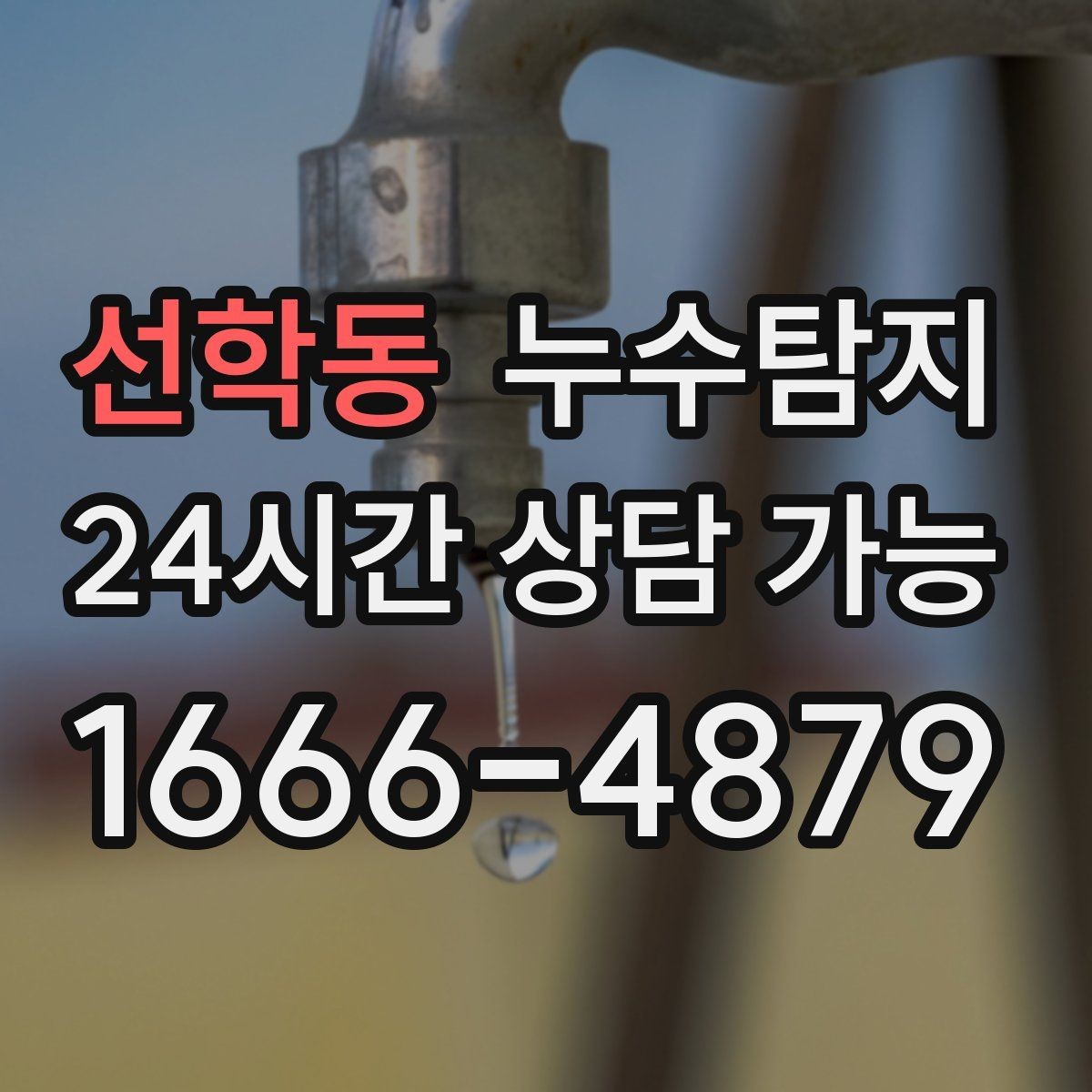 선학동 누수탐지 작은 물자국으로 시작된 점검기