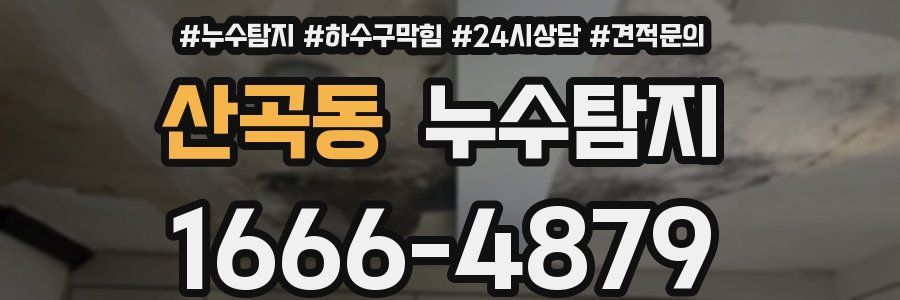 누수탐지