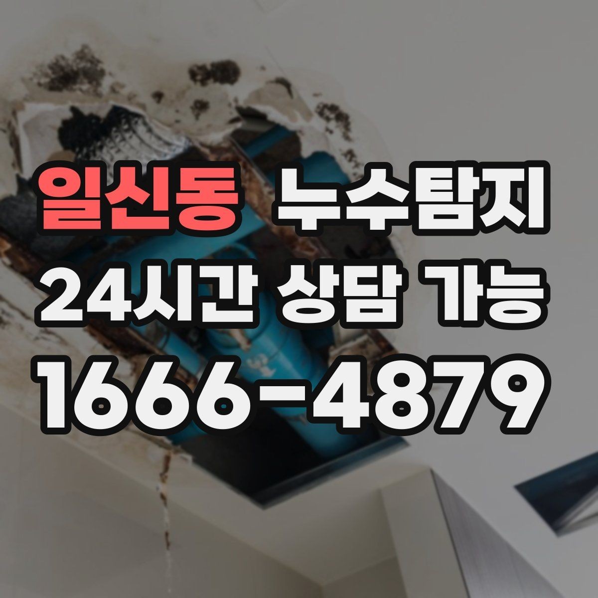 일신동 누수탐지 촬영 데이터로 확인한 변화