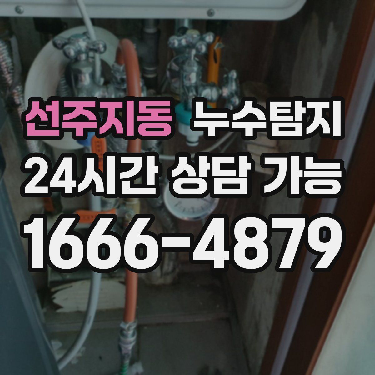 선주지동 누수탐지