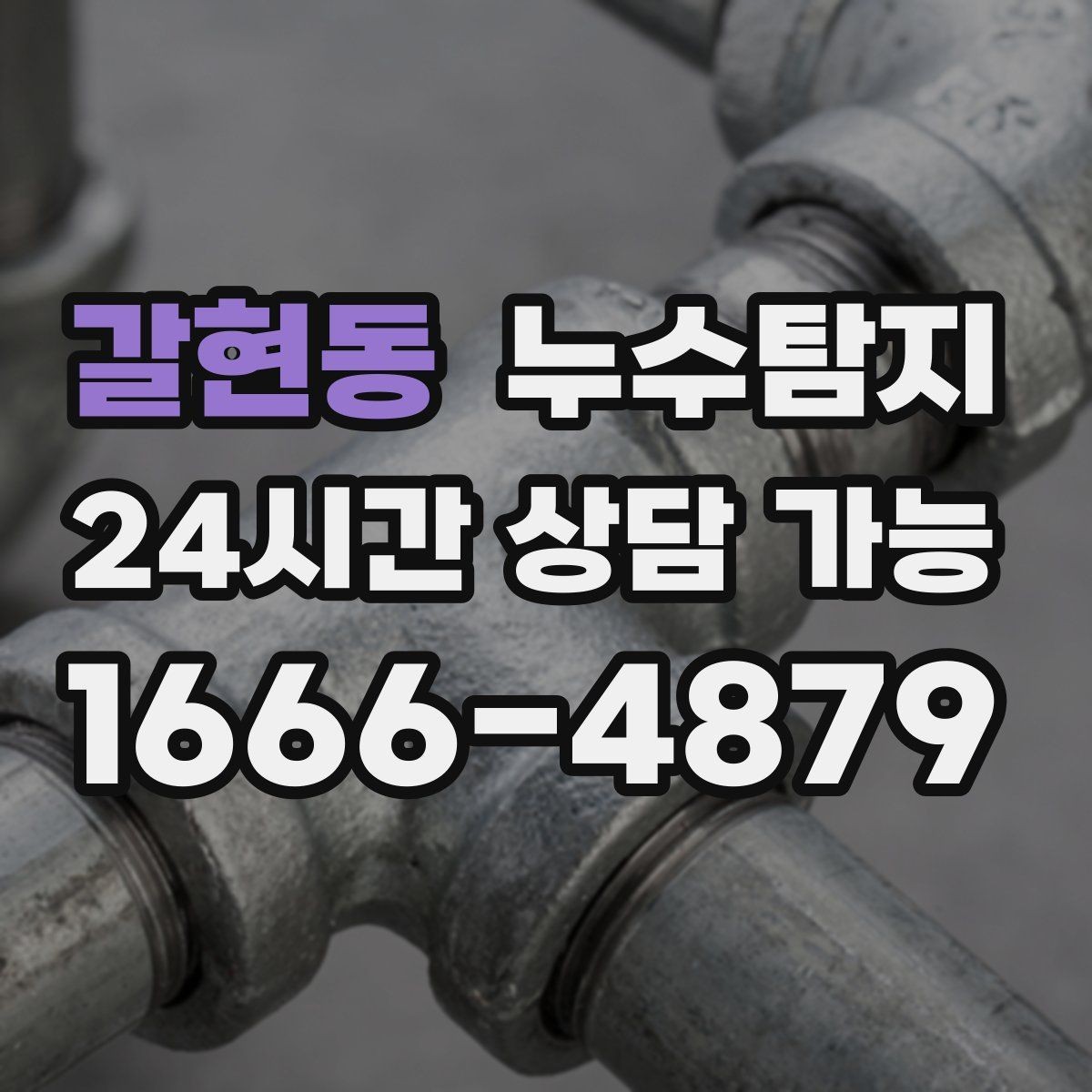 갈현동 누수탐지 상가 매장 누수 신속 진단