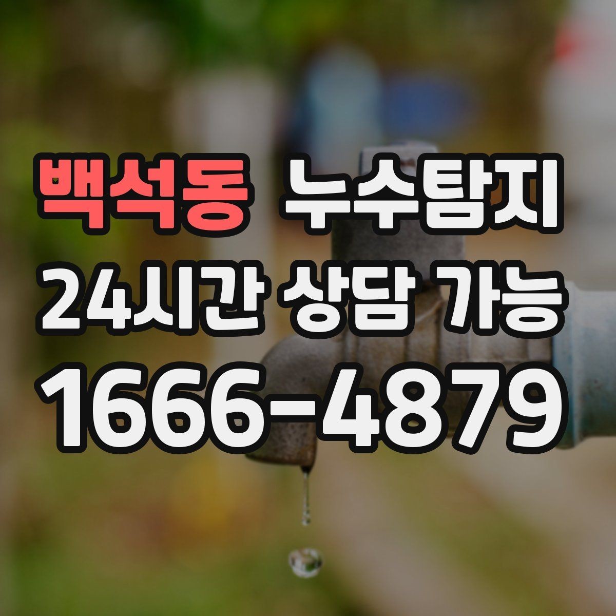 백석동 누수탐지 집 안 공기질이 달라진 이유