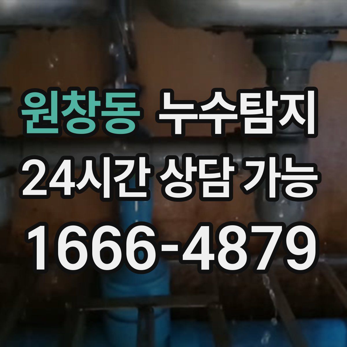 원창동 누수탐지