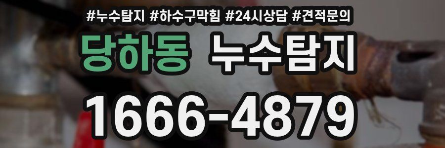 누수탐지