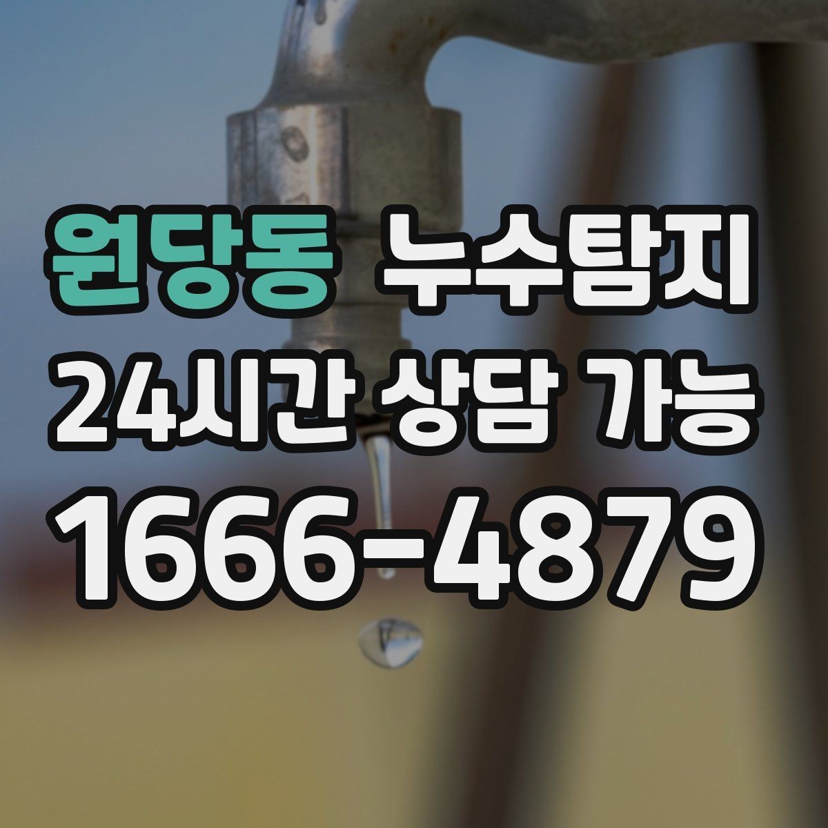 원당동 누수탐지 작은 물자국으로 시작된 점검기