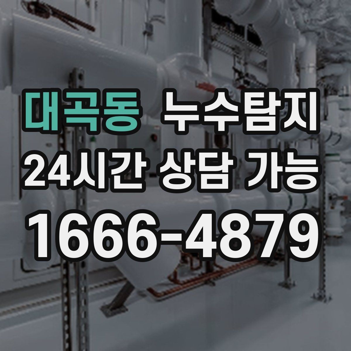 대곡동 누수탐지 아이와 반려동물을 위한 안전 점검