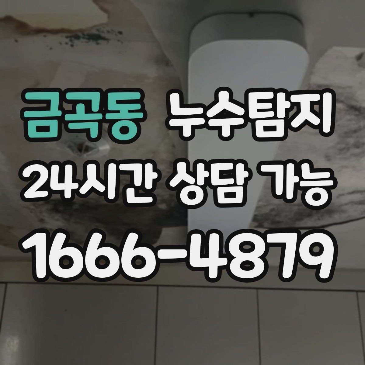 금곡동 누수탐지 공용배관 의심 구간 찾은 날