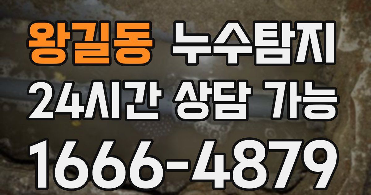 왕길동 누수