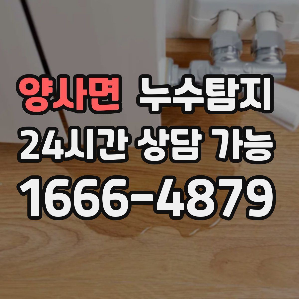 양사면 누수탐지 공용배관 의심 구간 찾은 날