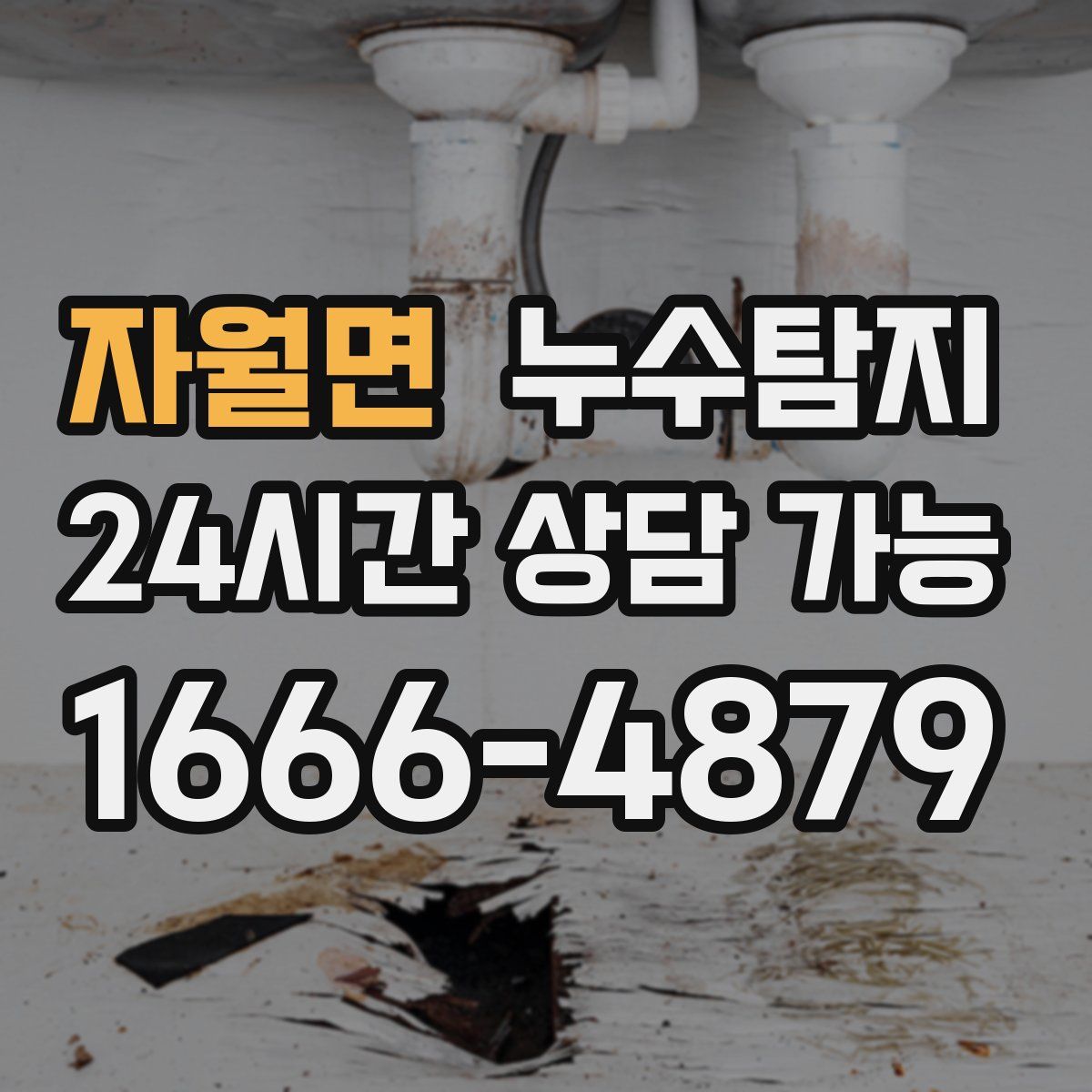 자월면 누수탐지