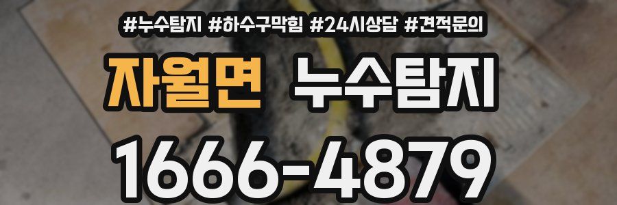 누수탐지