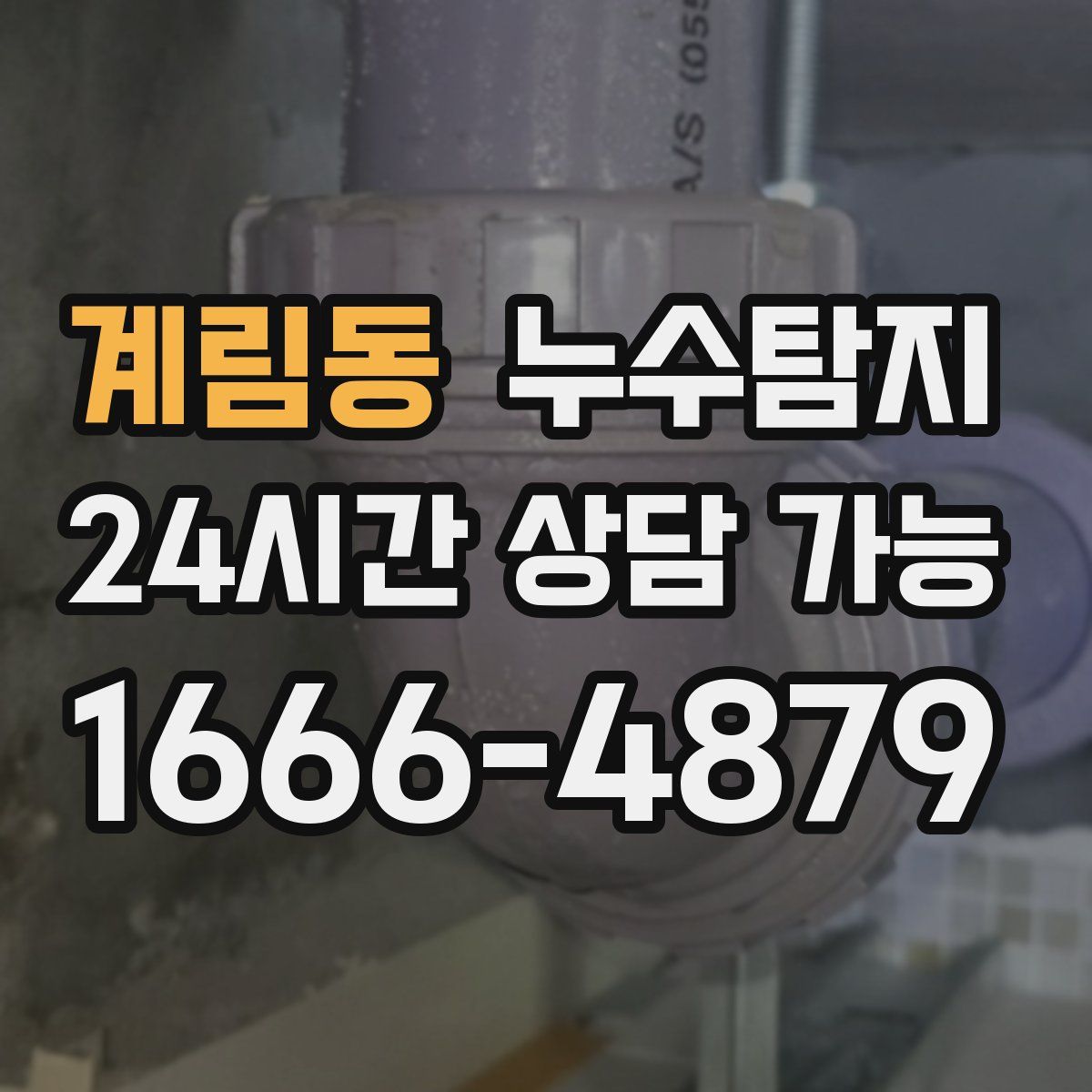 계림동 누수탐지