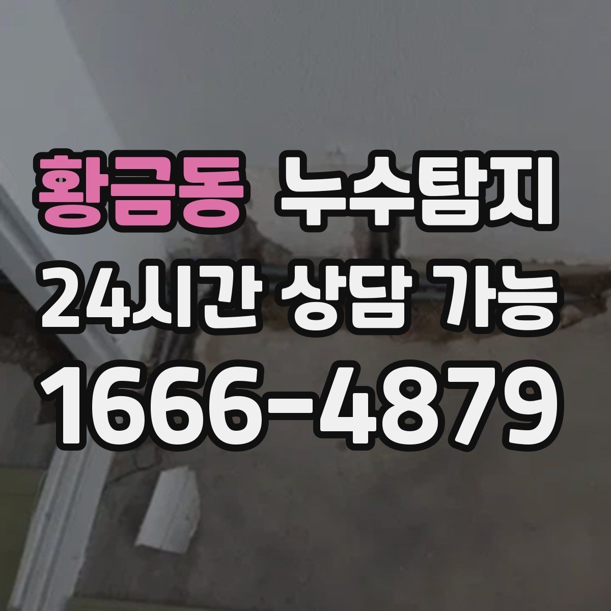 황금동 누수탐지 상가 영업 중 조용한 점검기