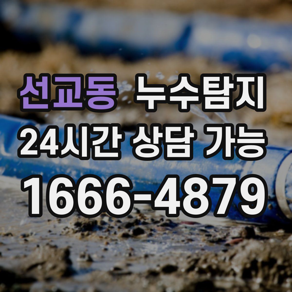 선교동 누수탐지