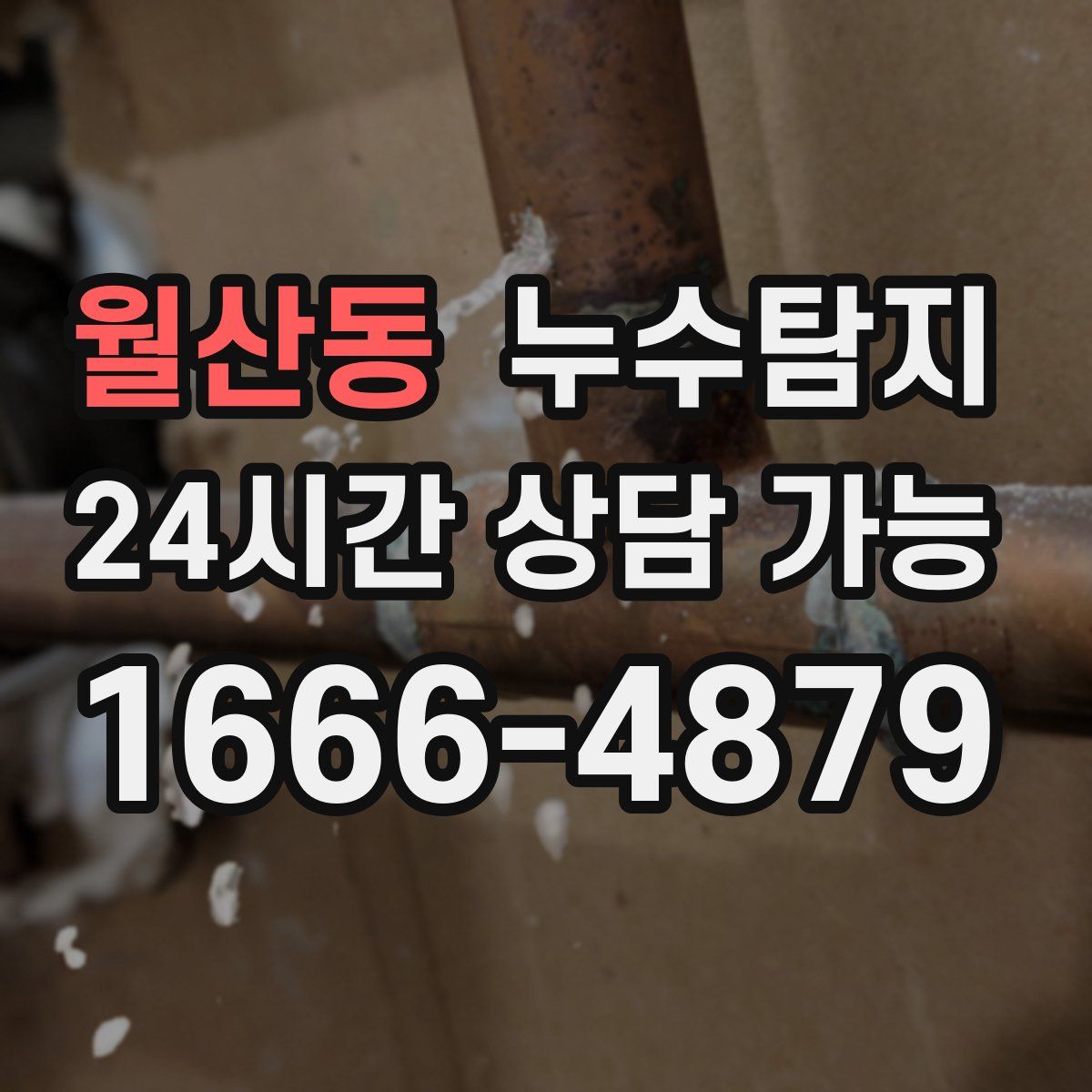 월산동 누수탐지