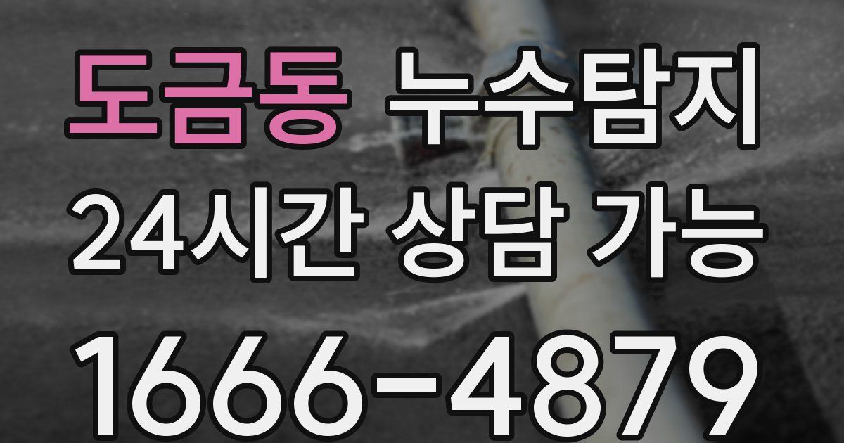 도금동 누수