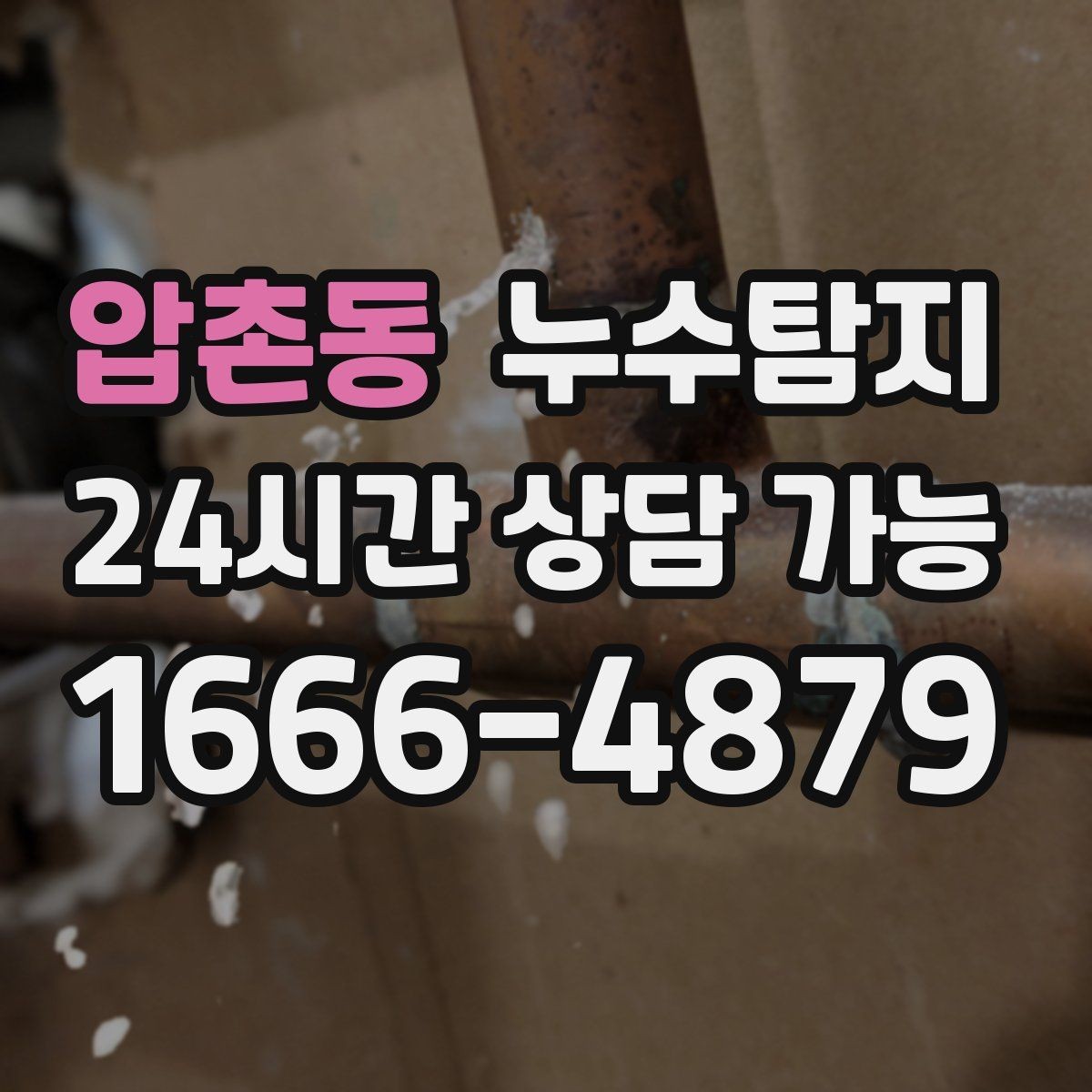 압촌동 누수탐지 눈에 안 보이는 누수 정확한 데이터로 해결하세요