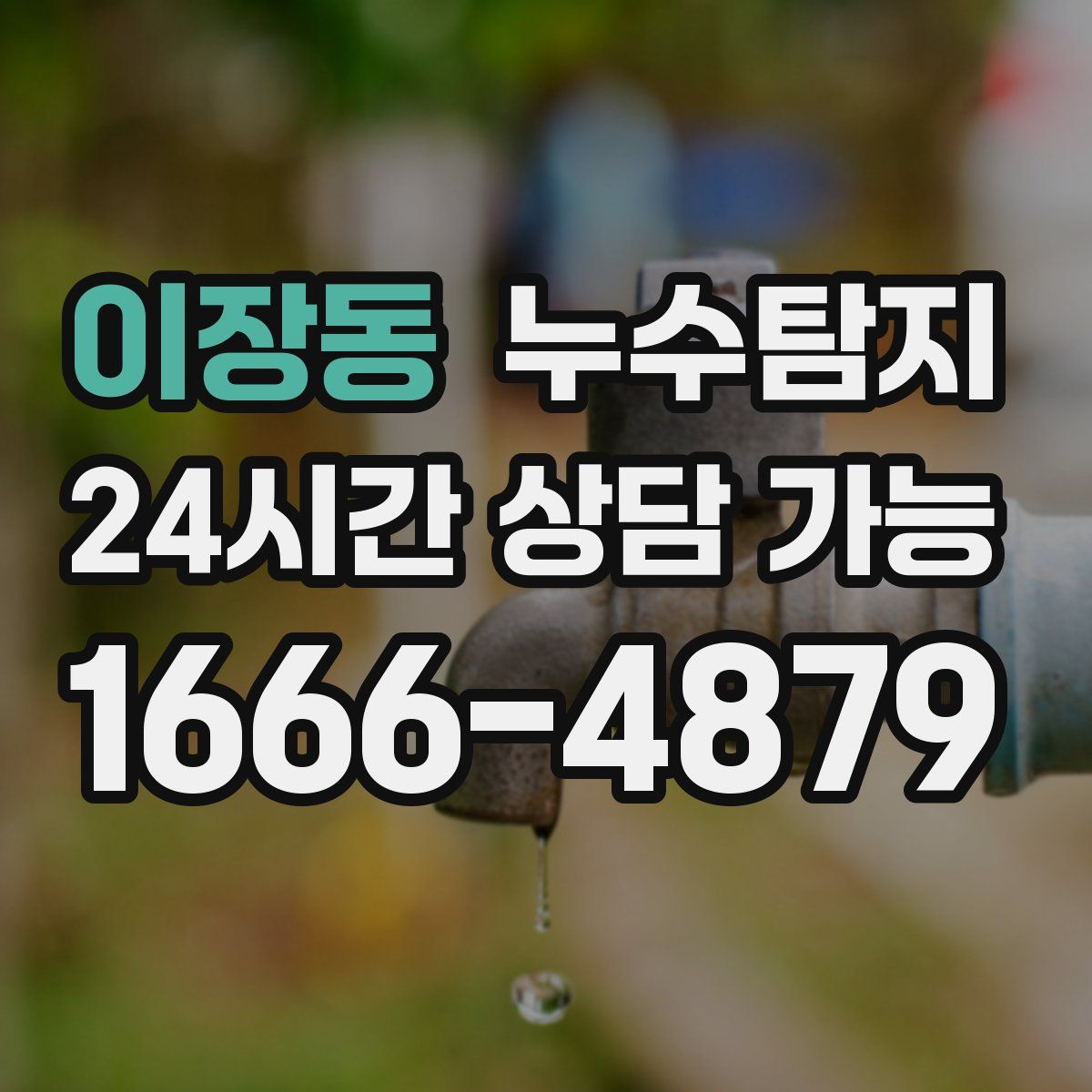 이장동 누수탐지