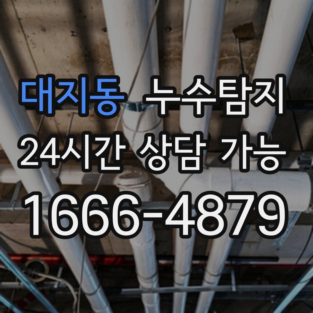 대지동 누수탐지 타일 틈새 점검으로 찾은 누수