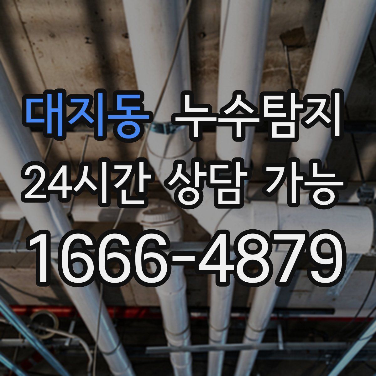 대지동 누수탐지