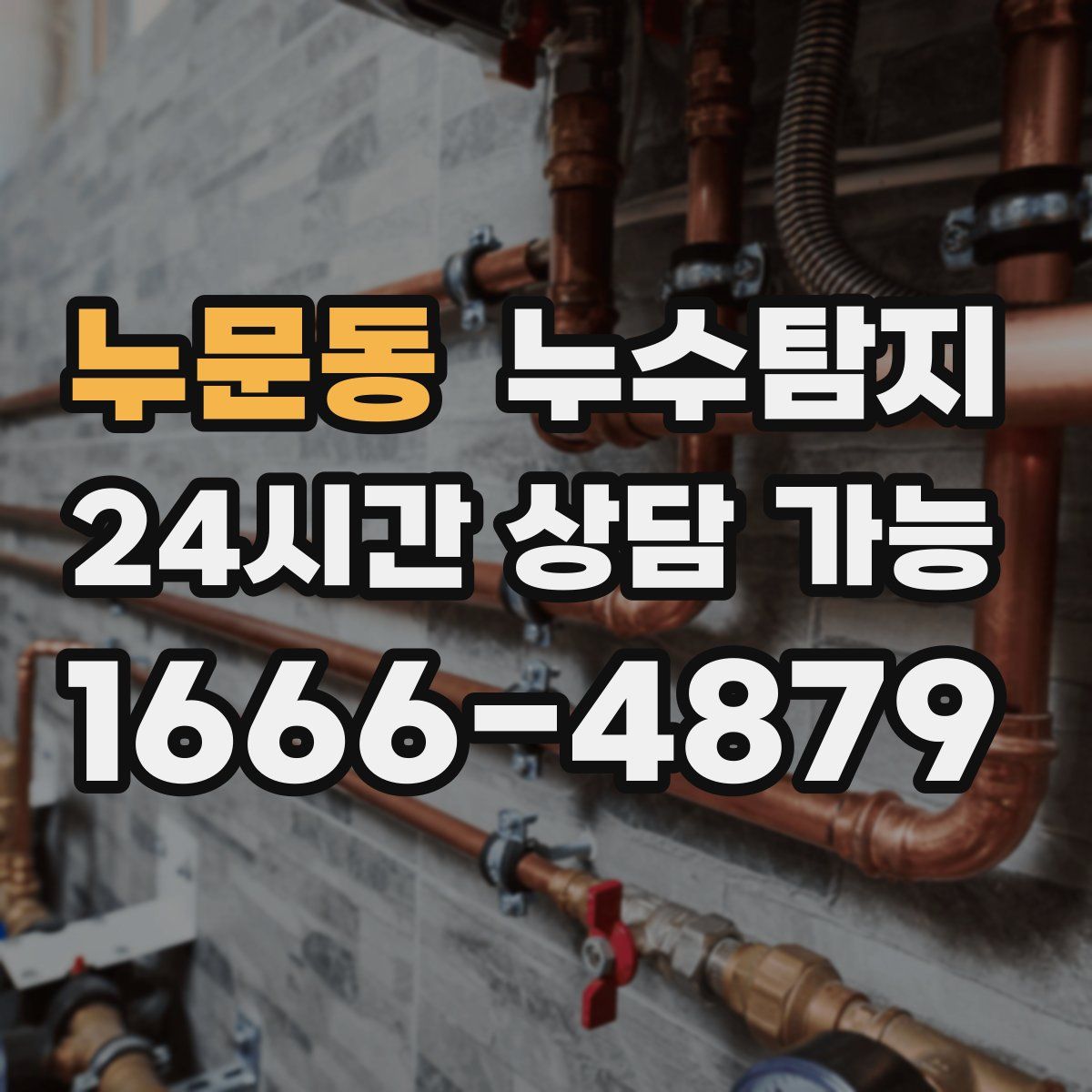 누문동 누수탐지