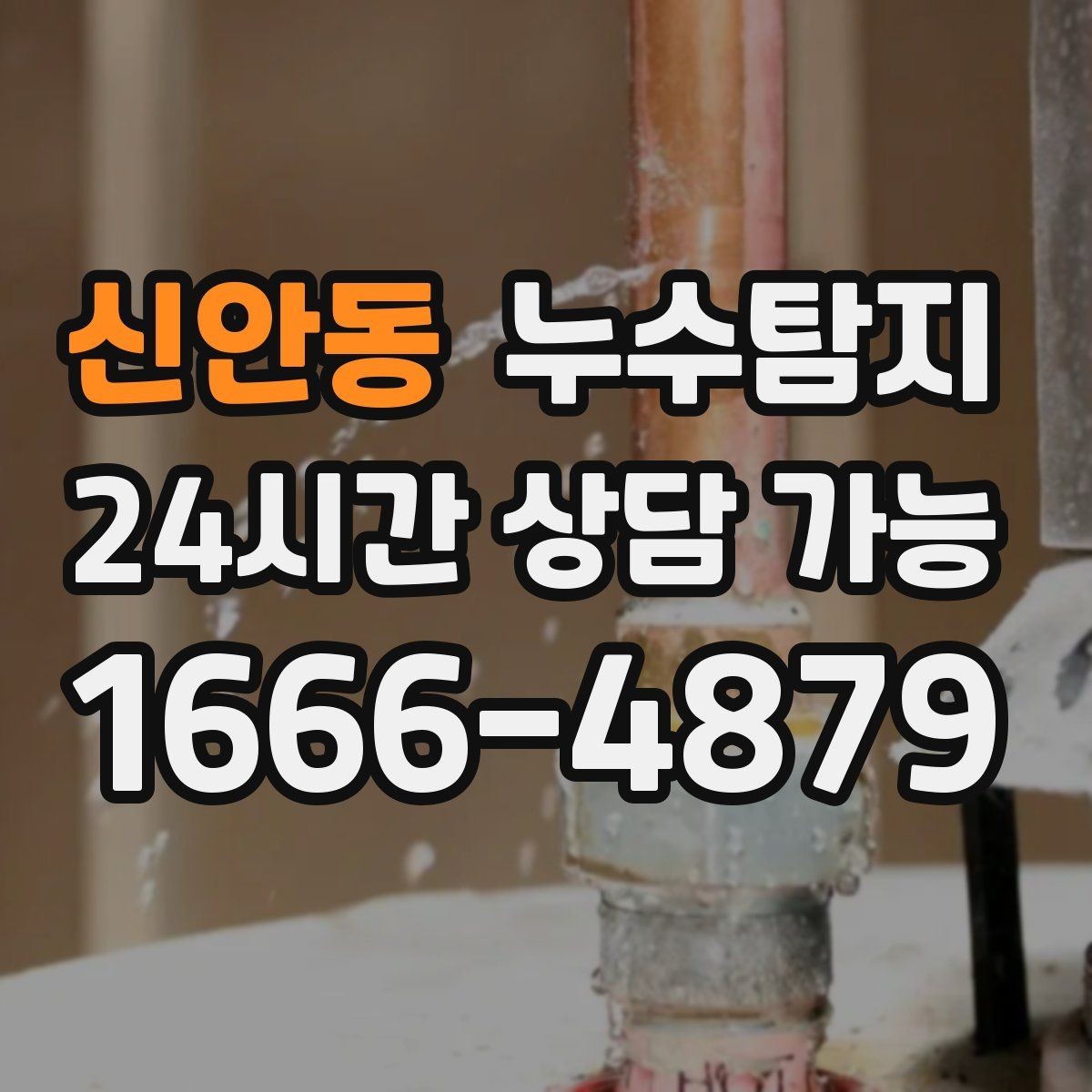 신안동 누수탐지 전세 계약 전 집 상태 확인법