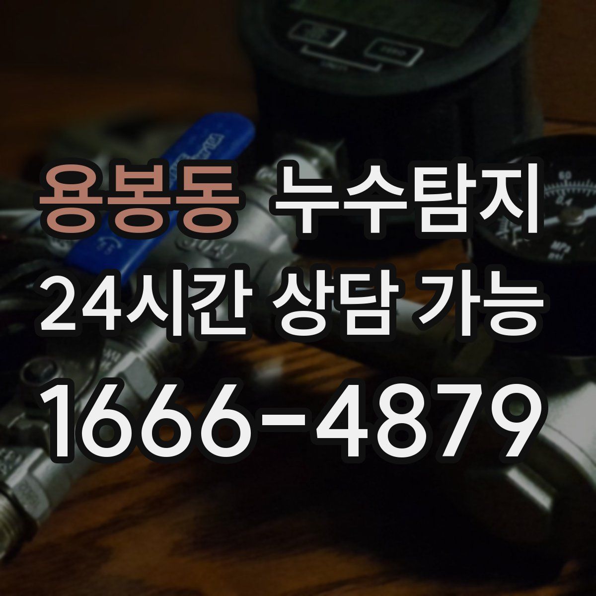 용봉동 누수탐지