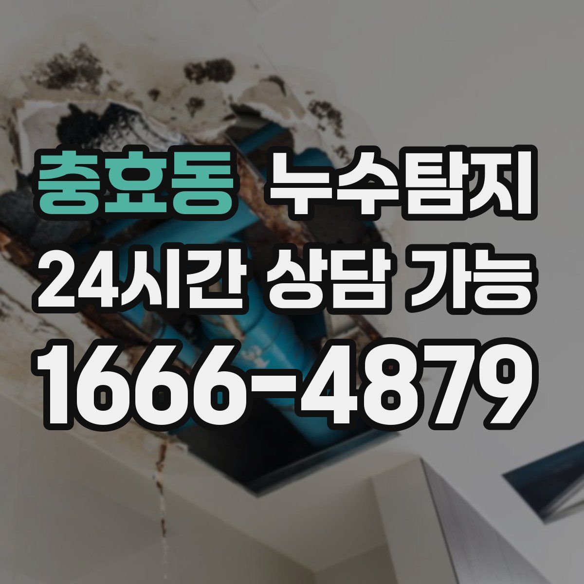 충효동 누수탐지