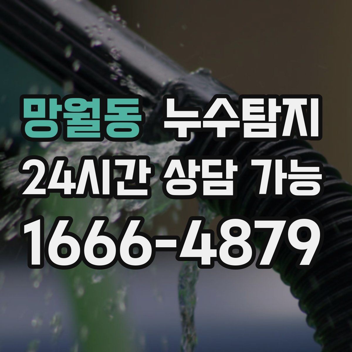 망월동 누수탐지 천장 벽 바닥 누수 진단