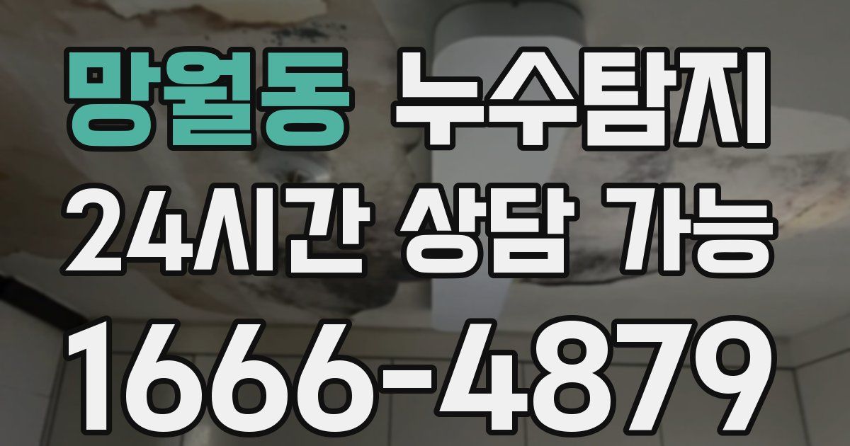 망월동 누수