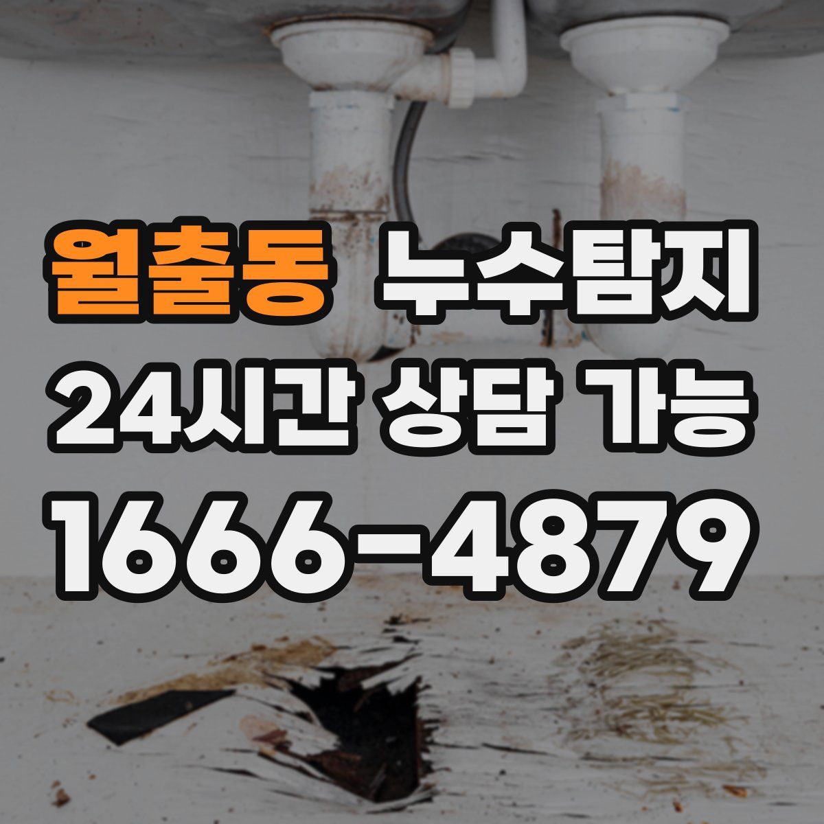 월출동 누수탐지