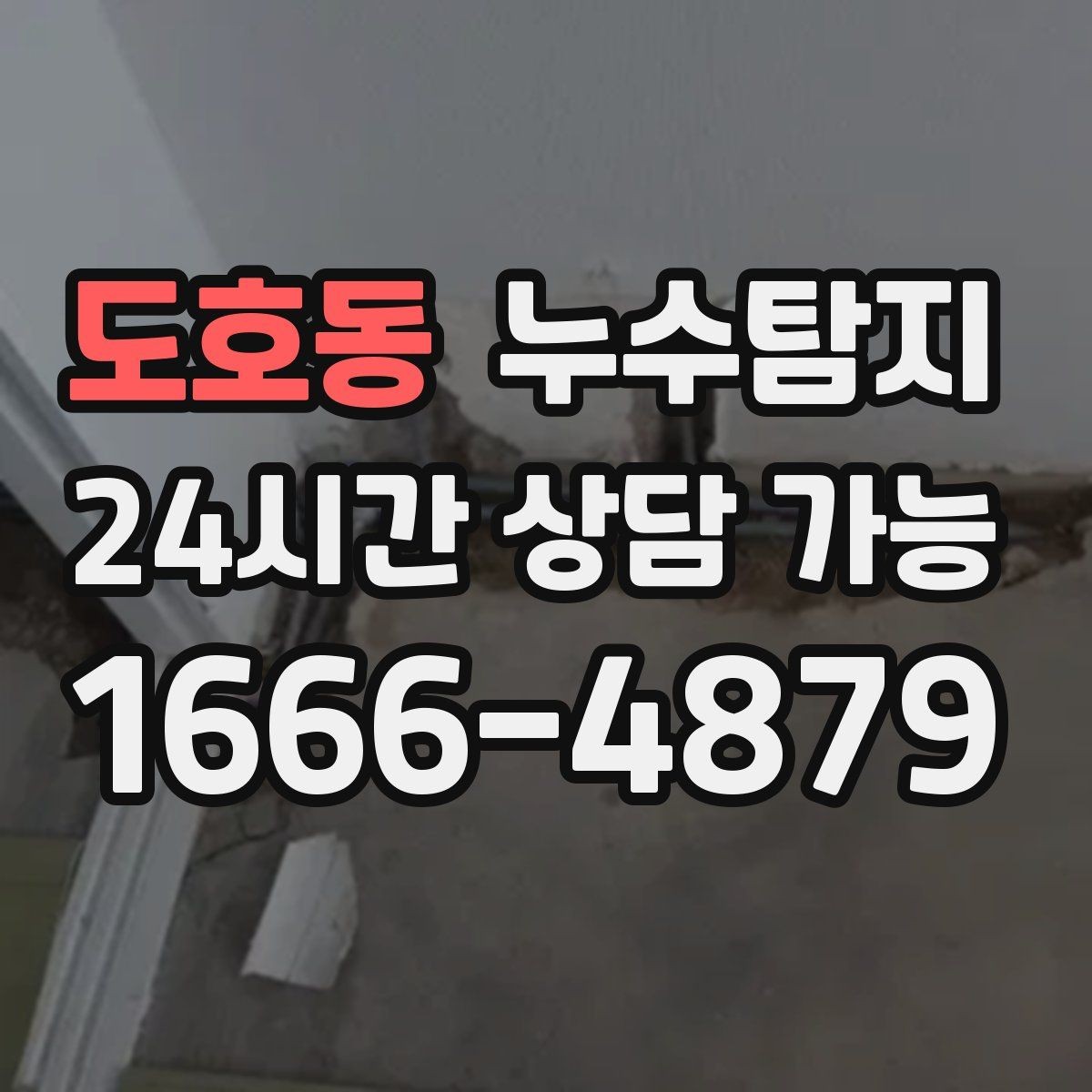 도호동 누수탐지 청소보다 중요한 근본 해결기