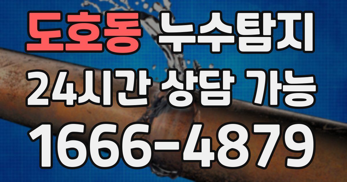 도호동 누수