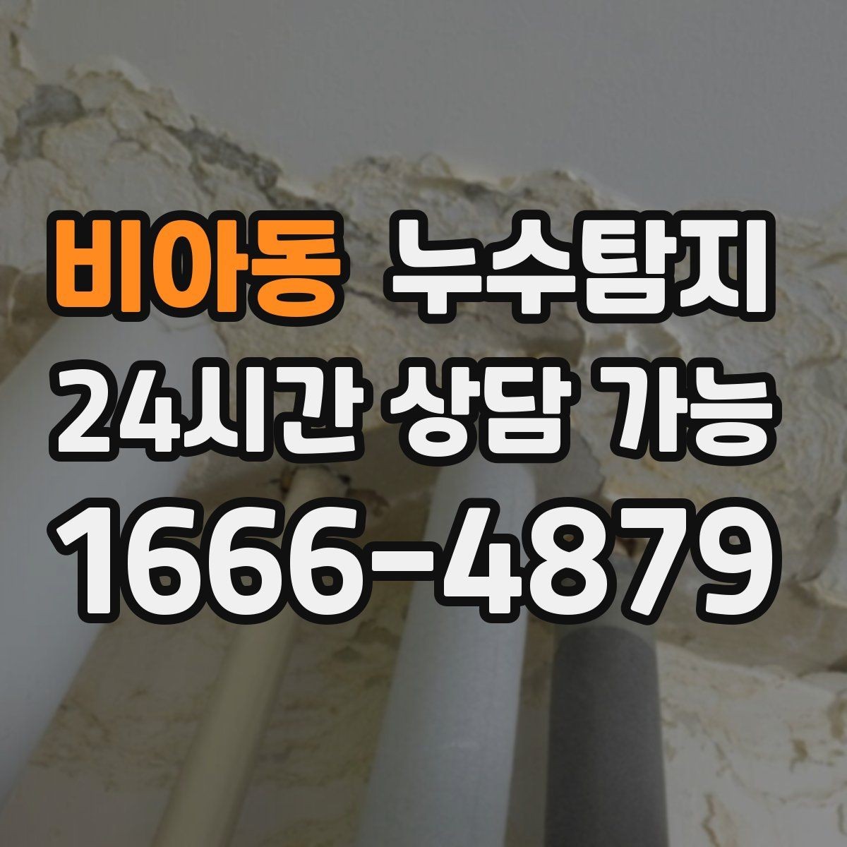 비아동 누수탐지 욕실 곰팡이 원인과 해결 과정