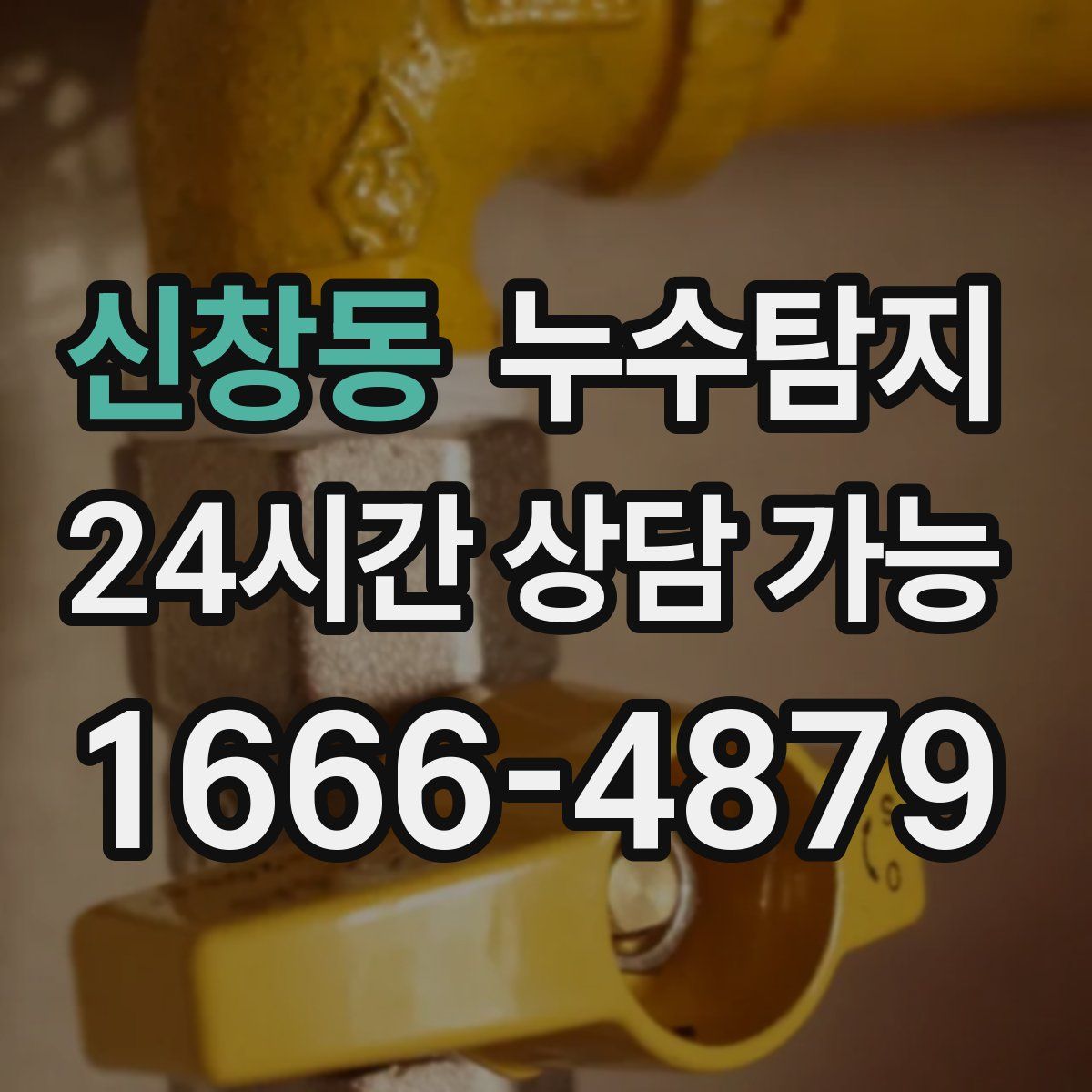 신창동 누수탐지