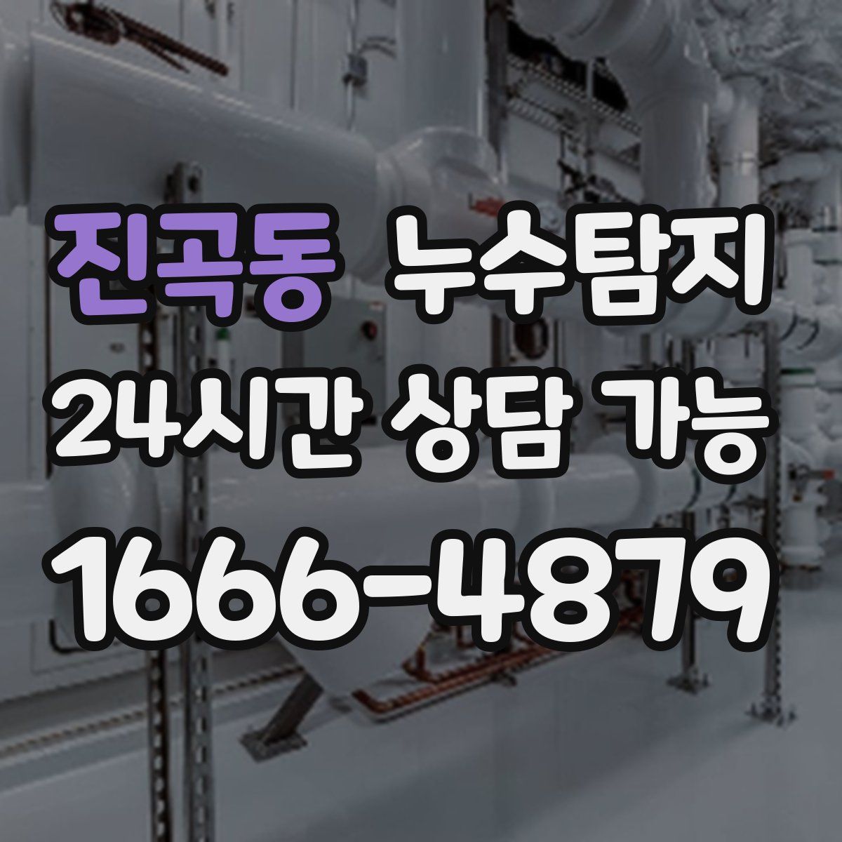 진곡동 누수탐지