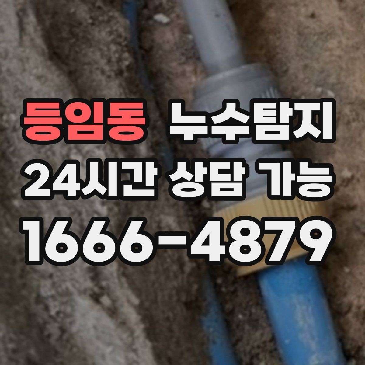 등임동 누수탐지 임대차 분쟁 예방 준비물 공유