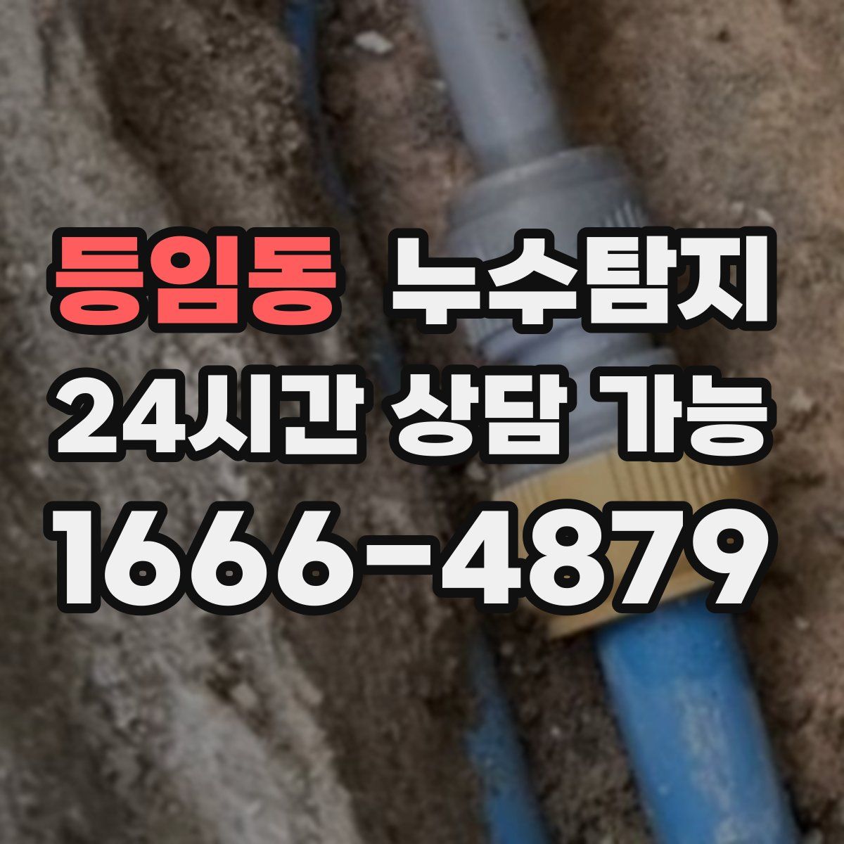 등임동 누수탐지